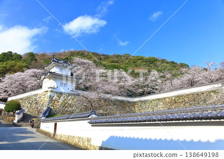【兵庫縣】盛開的櫻花與龍野城的角樓 【兵庫縣】盛開的櫻花與龍野城的角樓 138649198