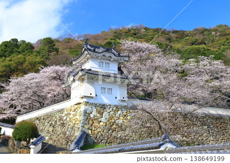 【兵庫縣】盛開的櫻花與龍野城的角樓 138649199