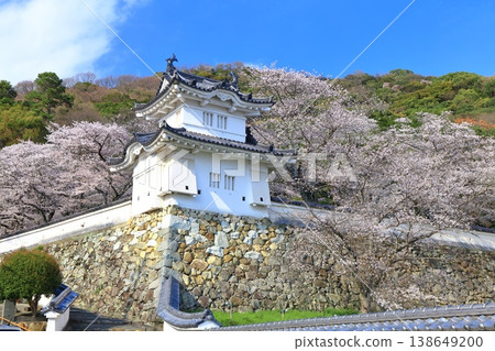 [Hyogo Prefecture] Cherry blossoms in full bloom and the corner turret of Tatsuno Castle 138649200