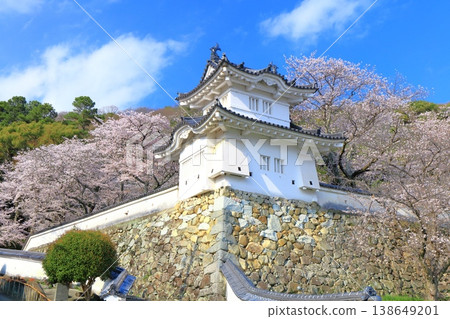 【兵庫縣】盛開的櫻花與龍野城的角樓 138649201