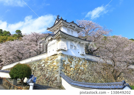 [Hyogo Prefecture] Cherry blossoms in full bloom and the corner turret of Tatsuno Castle 138649202
