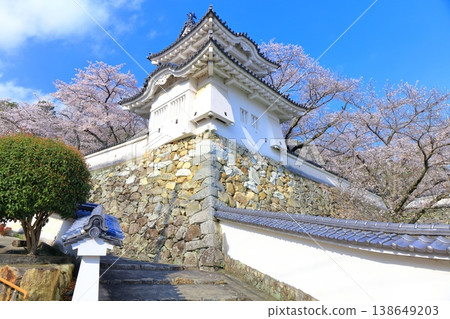 [Hyogo Prefecture] Cherry blossoms in full bloom and the corner turret of Tatsuno Castle 138649203