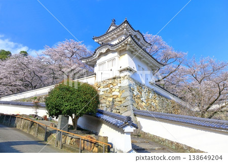 [Hyogo Prefecture] Cherry blossoms in full bloom and the corner turret of Tatsuno Castle 138649204