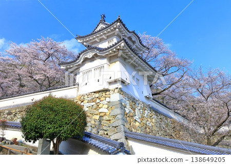 [Hyogo Prefecture] Cherry blossoms in full bloom and the corner turret of Tatsuno Castle 138649205