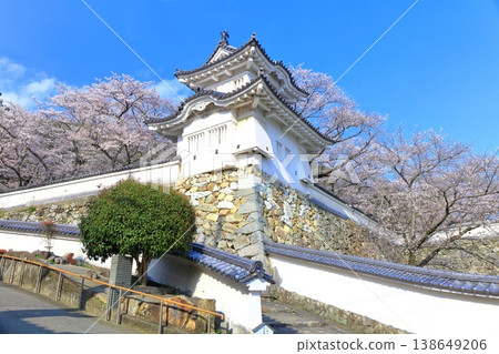 【兵庫縣】盛開的櫻花與龍野城的角樓 138649206