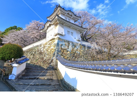 【兵庫縣】盛開的櫻花與龍野城的角樓 138649207