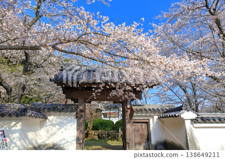 [Hyogo Prefecture] Cherry blossoms in full bloom and the west gate of Tatsuno Castle 138649211