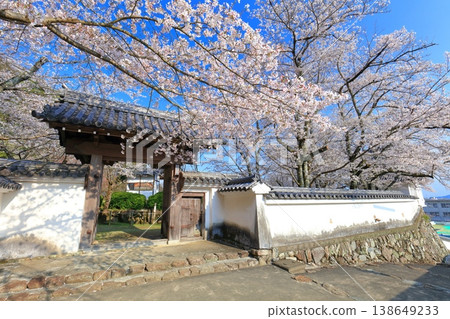 [Hyogo Prefecture] Cherry blossoms in full bloom and the west gate of Tatsuno Castle 138649233