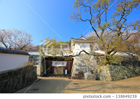 [Hyogo Prefecture] Cherry blossoms in full bloom and the buried gate of Tatsuno Castle 138649239