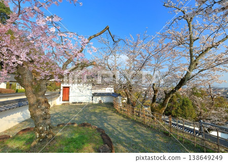 【兵庫縣】盛開的櫻花、龍野城的埋沒城門和龍野町 138649249