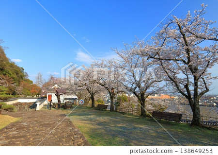 【兵庫縣】盛開的櫻花、龍野城的埋沒城門和龍野町 138649253