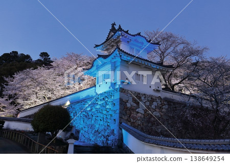 【兵庫縣】夜晚盛開的櫻花與龍野城的角樓 【兵庫縣】夜晚盛開的櫻花與龍野城的角樓 138649254