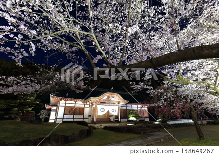 [Hyogo Prefecture] Cherry blossoms in full bloom at night and the main palace of Tatsuno Castle 138649267