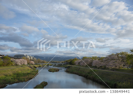 從丸太町橋上眺望鴨川、河岸和盛開的櫻花（2） 138649441