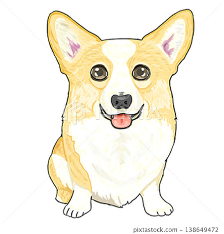 Corgi 138649472
