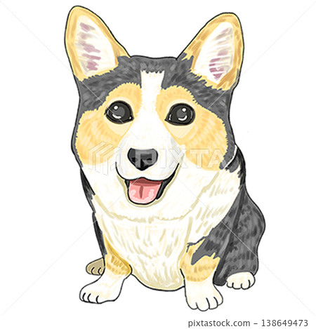 Corgi Tricolor Corgi Tricolor 138649473
