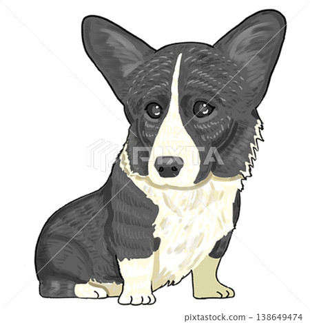 Corgi (black) 138649474
