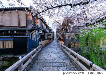 Tatsumi Bridge and cherry blossoms in full bloom in Shirakawa, Gion, Kyoto (Higashiyama Ward, Kyoto City, Kyoto Prefecture) 138651022