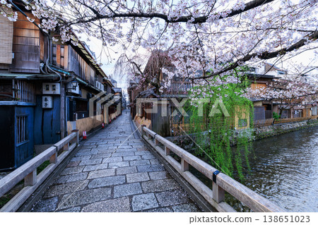 京都祇園白川的辰巳橋和盛開的櫻花（京都府京都市東山區） 138651023