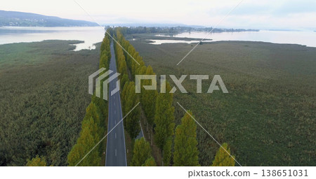 Road lined with trees next to water and fields in a rural area during daylight hours in a scenic location 138651031