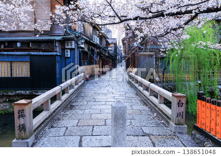 京都祇園白川的辰巳橋和盛開的櫻花（京都府京都市東山區） 138651048