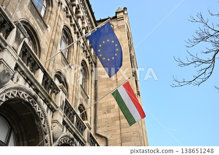 EU Flag and Hungarian Flag EU Flag and Hungarian Flag 138651248