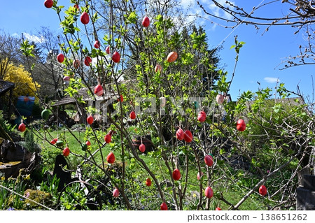 Spring Easter egg decorations hanging on garden tree in rural yard Spring Easter egg decorations hanging on garden tree in rural yard 138651262