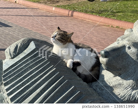 Cat resting on a stone book next to a lion statue in outdoor urban setting during daytime Cat resting on a stone book next to a lion statue in outdoor urban setting during daytime 138651990