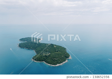Tropical Island With Vibrant Nature. Scenic Aerial Snapshot Of Lush Island Haven Tropical Island With Vibrant Nature. Scenic Aerial Snapshot Of Lush Island Haven 138652356