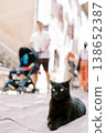 Charming Street With Relaxed Vibe. Peaceful Urban Setting Featuring Cat And Strolling Visitors 138652387