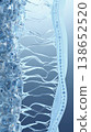 Illustration of Biological Cells and Structures in High Detailed View 138652520