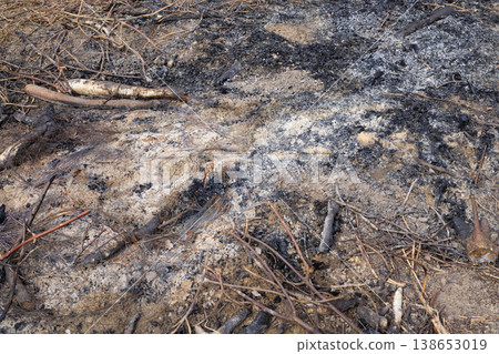 Burnt ground surface covered with black ash, charcoal, and scorched branches. Burnt ground surface covered with black ash, charcoal, and scorched branches. 138653019