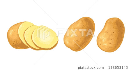 Potato roots whole and slice. Vector flat color illustration 138653143