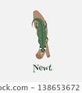 Cute cartoon newt. Vector illustration for children. 138653672