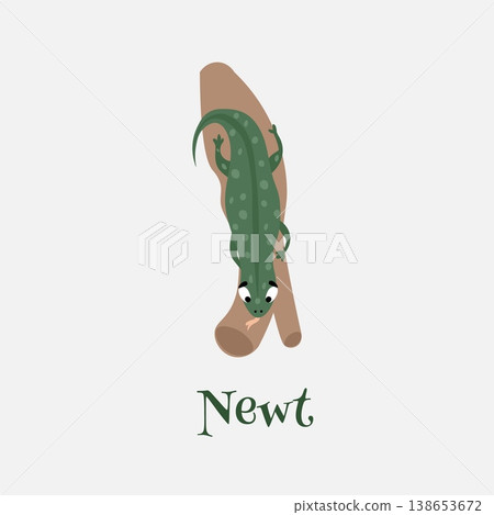 Cute cartoon newt. Vector illustration for children. 138653672