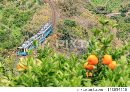 The mandarin orange groves of Hokketsu Pass as the Yosan Line descends the steep slope. The mandarin orange groves of Hokketsu Pass as the Yosan Line descends the steep slope. 138654226