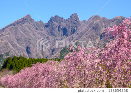 Aso's cherry blossom path and Mount Nekodake Aso's cherry blossom path and Mount Nekodake 138654268