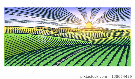 Rustic meadow hand drawn v sunset landscape illustrations with fields full of grass. Beautiful rural Rustic meadow hand drawn v sunset landscape illustrations with fields full of grass. Beautiful rural 138654459