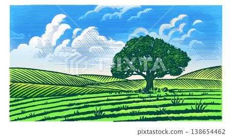 Beautiful rustic landscape with big old oak tree in the meadow. hills and fields for eco products Beautiful rustic landscape with big old oak tree in the meadow. hills and fields for eco products 138654462