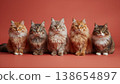 Five cats lined up in a front view against a salmon background with colored rims. 138654897