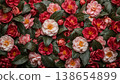 A Japanese-style color composition featuring camellia flowers and glossy leaves, bathed in soft light. 138654899