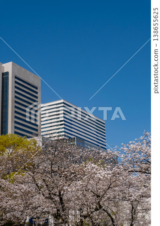 Cherry blossoms in full bloom and skyscrapers in the Minato Mirai area Cherry blossoms in full bloom and skyscrapers in the Minato Mirai area 138655625