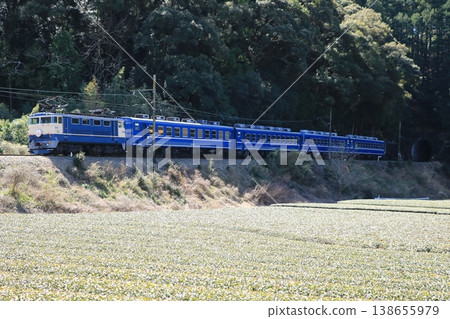 EL train running through tea fields EL train running through tea fields 138655979