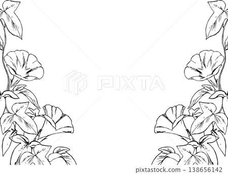 Morning glory line drawing frame Morning glory line drawing frame 138656142