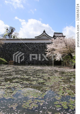 福岡市舞鶴公園福岡城遺址的潮見櫓塔 福岡市舞鶴公園福岡城遺址的潮見櫓塔 138656724