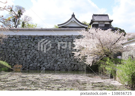 福岡市舞鶴公園福岡城遺址的潮見櫓塔 福岡市舞鶴公園福岡城遺址的潮見櫓塔 138656725
