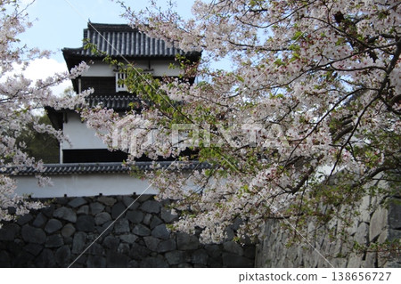 福岡市舞鶴公園福岡城遺址的潮見櫓塔 福岡市舞鶴公園福岡城遺址的潮見櫓塔 138656727