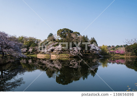 Springtime scenery at Mitsuike Park in Tsurumi, Kanagawa Prefecture Springtime scenery at Mitsuike Park in Tsurumi, Kanagawa Prefecture 138656898