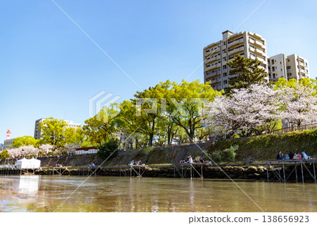春日櫻花在小月川畔盛開的景象（留有空白區域） 138656923