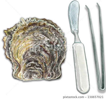 珍珠採集經驗_1_珍珠貝_鑷子_刀 138657021